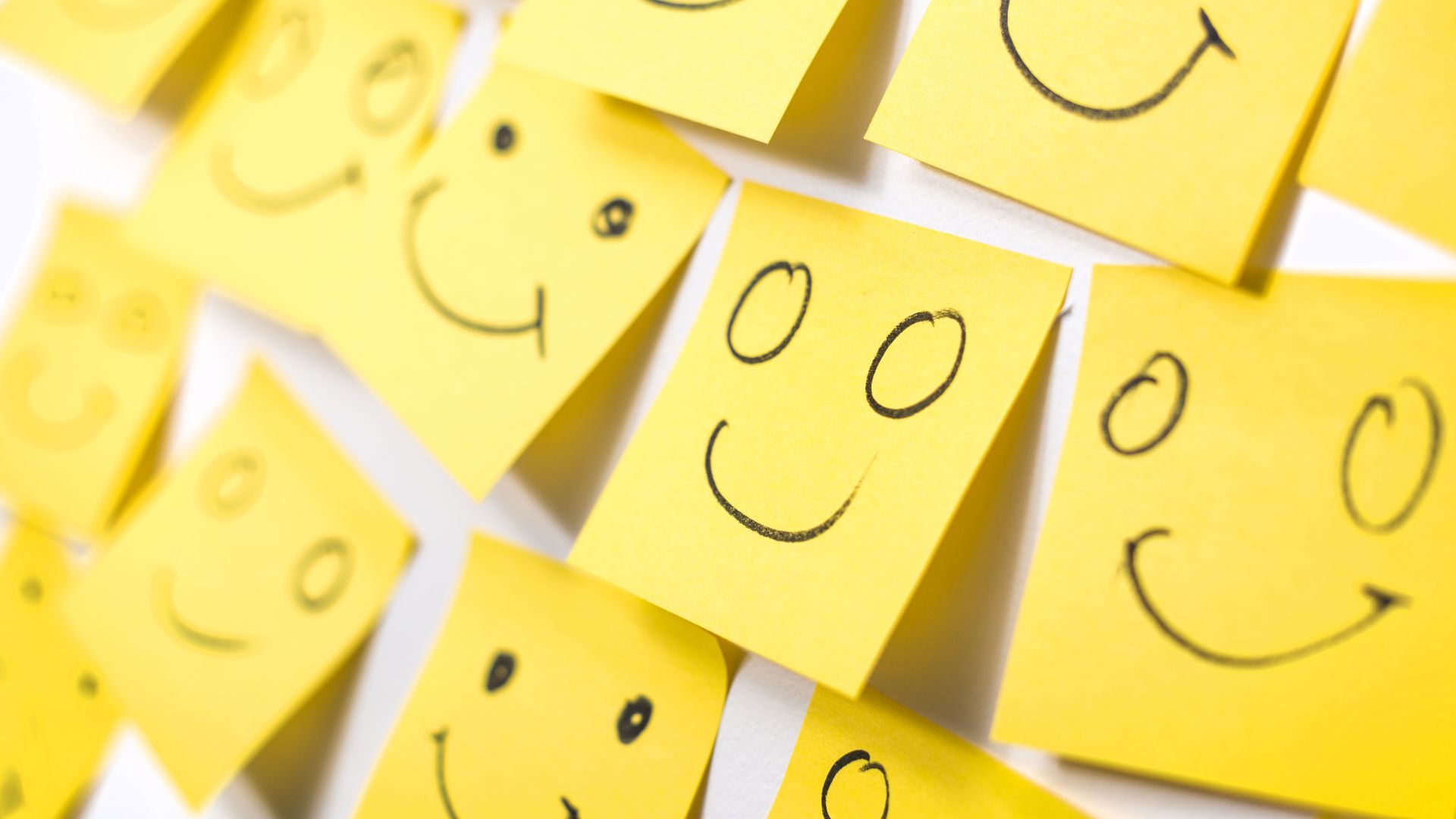 Customer Experience (CX) Excellence for SMEs